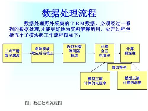 tem数据处理ppt